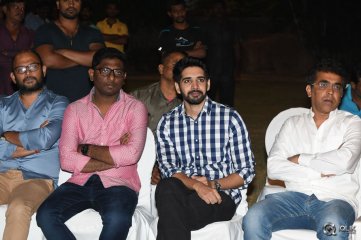 Ekkadiki Pothavu Chinnavada Movie Audio Success Meet